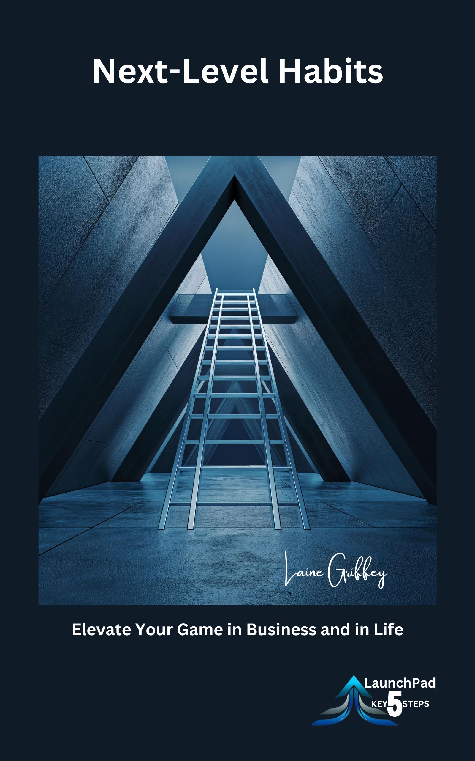 Next-Level Habits cover